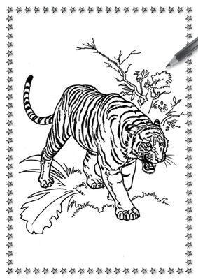 Stampa e colora le tigri
