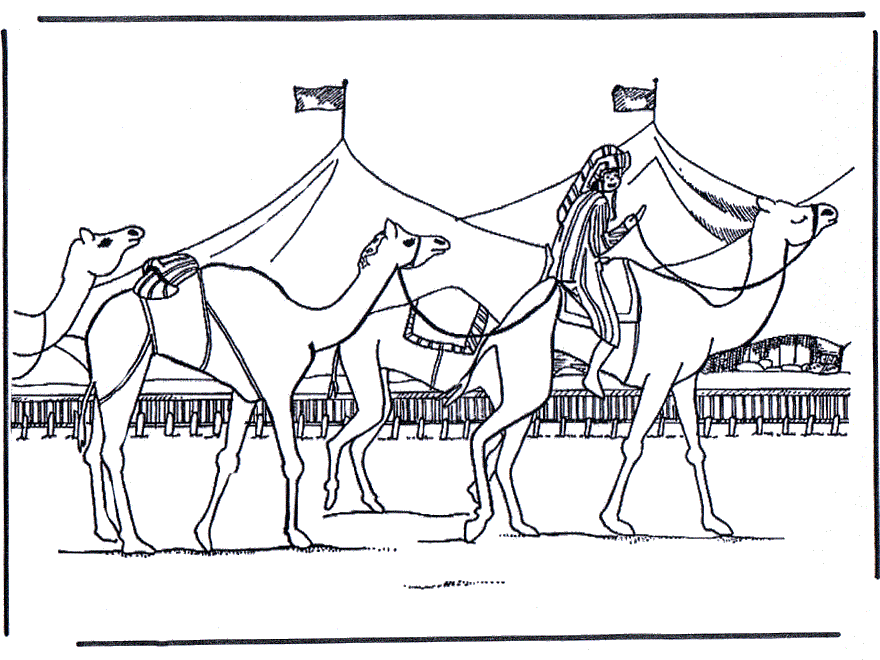 Tanti cammelli disegno da stampare e da colorare