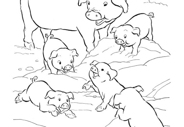 Tanti maialini che giocano nel fango da colorare