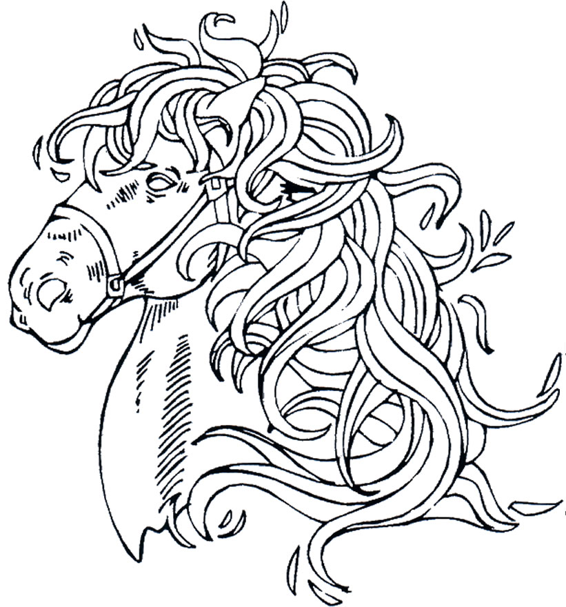 Testa di cavallo con folta criniera disegno da colorare