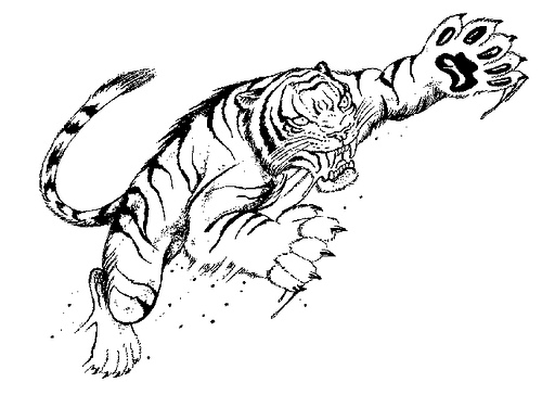 Tigre aggressiva disegni da colorare gratis
