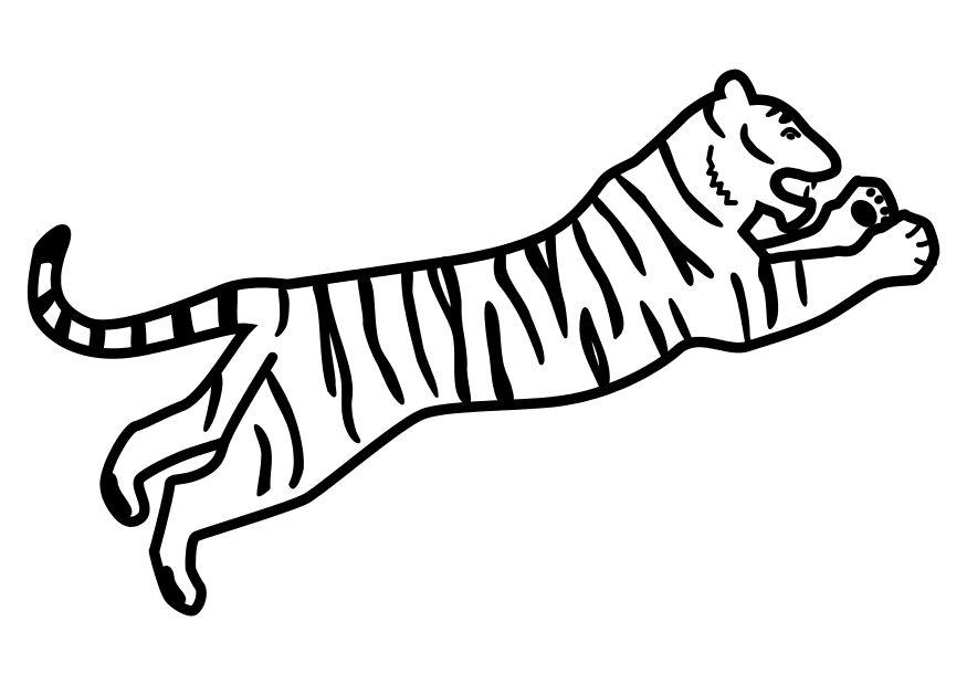 Tigre che salta disegni da colorare