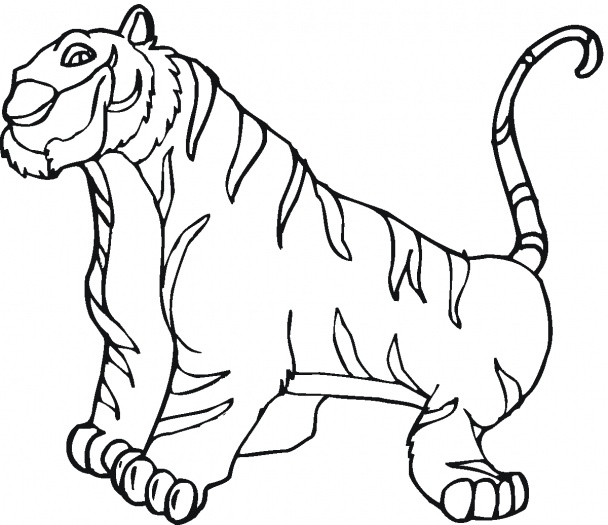 Tigre furba disegni da colorare