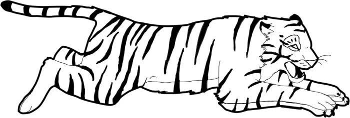 Tigre in corsa disegni da stampare di animali