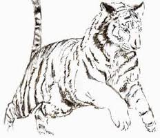 Tigri da colorare gratis