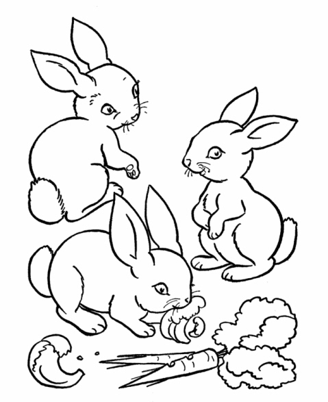 Tre coniglietti da stampare e da colorare gratuitamente
