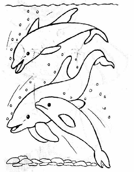Tre delfini disegni da colorare gratis categoria animali