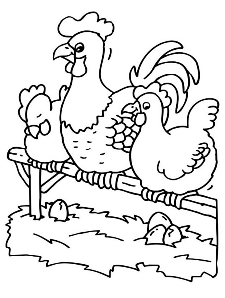 Tre galline nel pollaio disegni da stampare e colorare