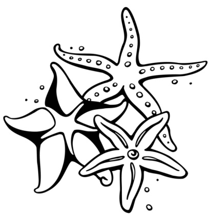 Tre stelle marine