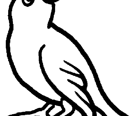 Uccellino che canta disegno da colorare categoria animali
