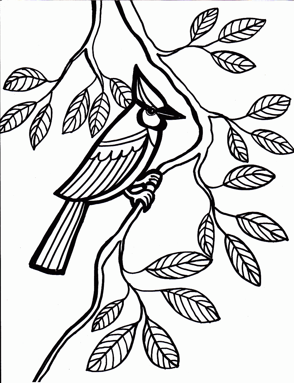 Uccellino sull’ albero disegno da colorare