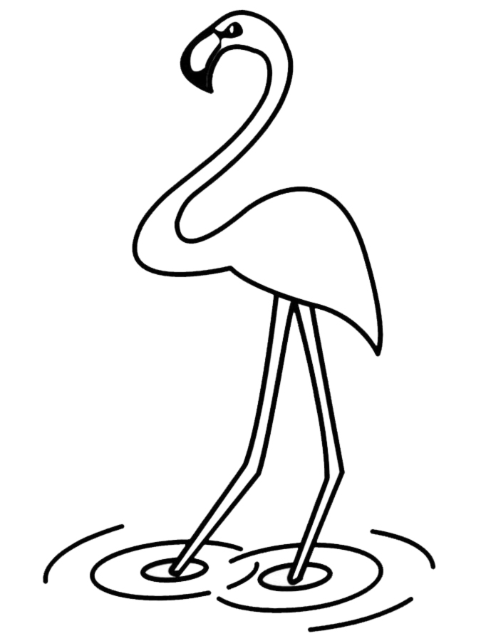 Uccello Fenicottero disegno da colorare gratis