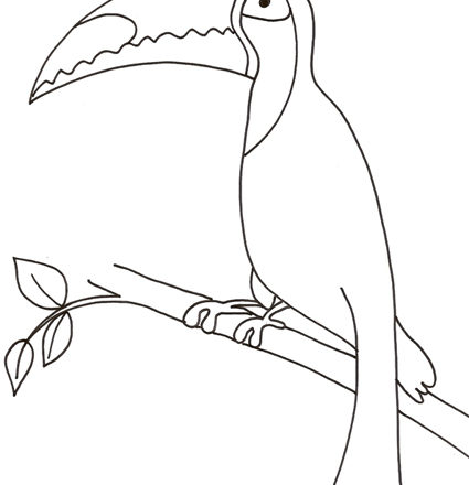 Uccello Tucano disegno da colorare per bambini