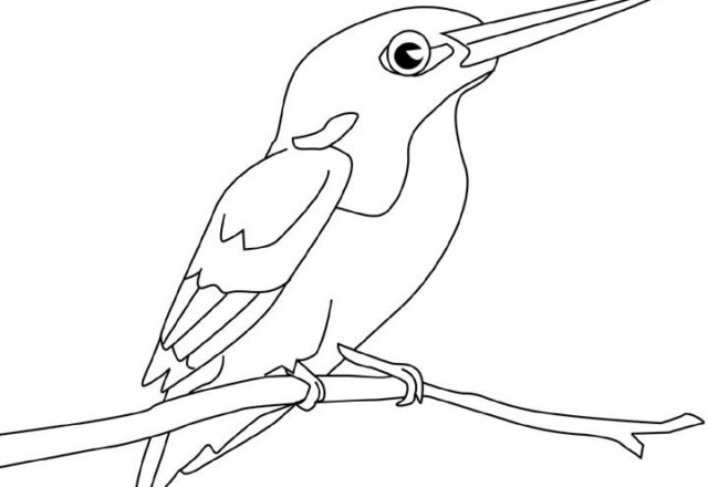 Un Martin Pescatore disegni da colorare di uccelli