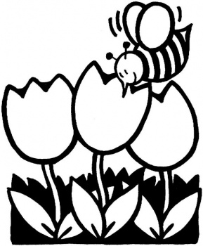 Un’ ape e tre tulipani disegno da colorare