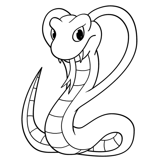 Un baby cobra disegni da colorare nella categoria serpenti