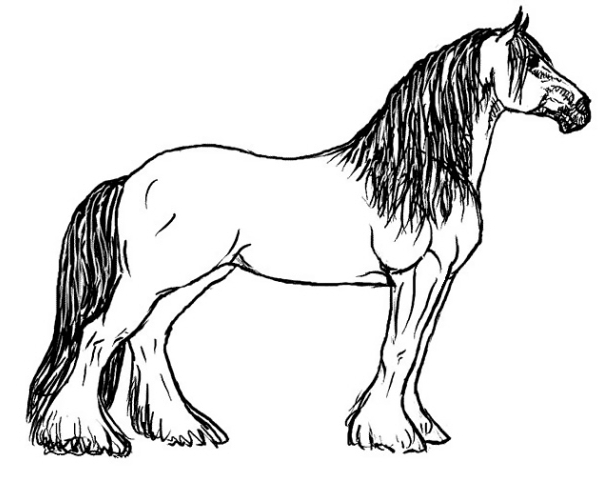 Un bel cavallo disegno da colorare gratis