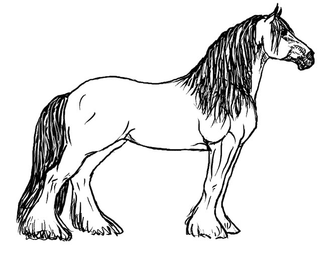 Un bellissimo cavallo disegno da colorare