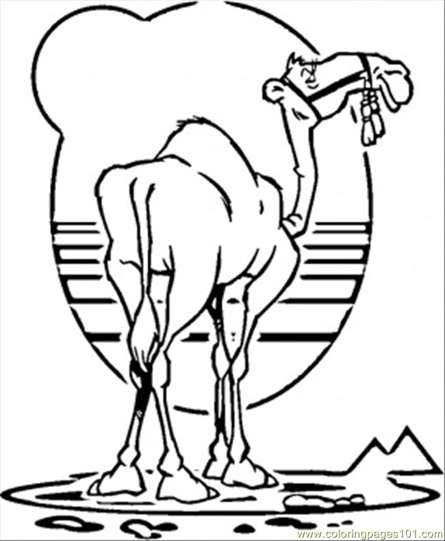 Un cammello disegno da stampare e colorare gratis