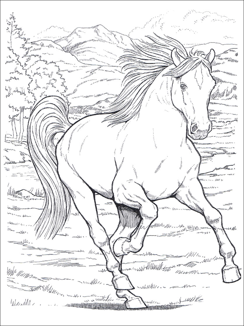 Un cavallo al galoppo disegno da stampare e da colorare