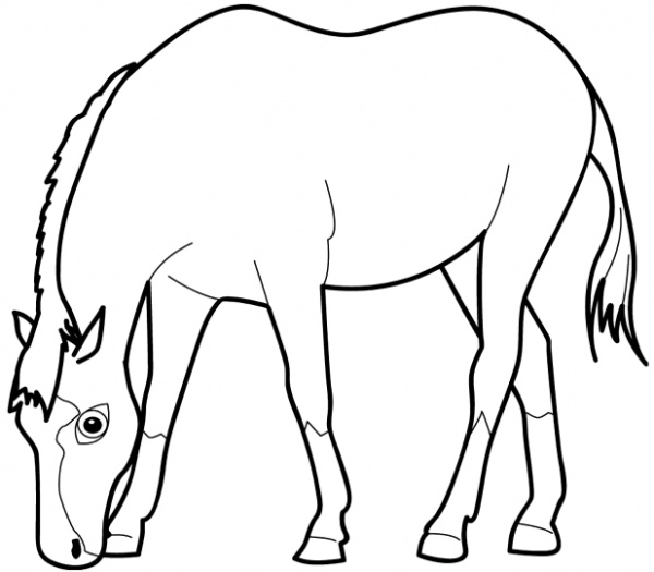 Un cavallo che mangia l’ erba disegno per bambini
