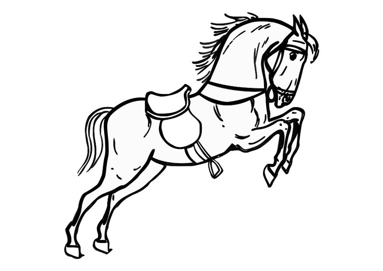 Un cavallo con la sella disegno da colorare per bimbi