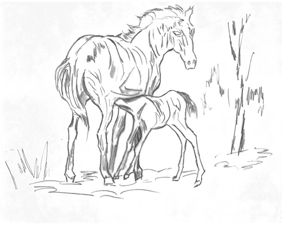 Un cavallo e il suo cucciolo disegno da colorare gratis