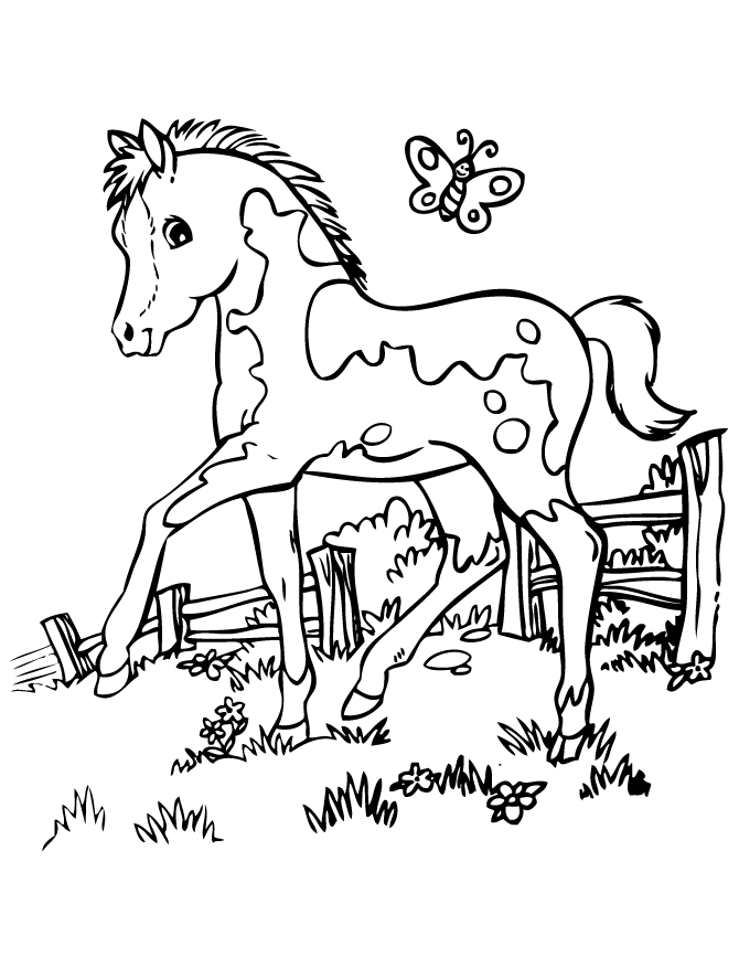 Un cavallo stile cartone animato ed una farfalla
