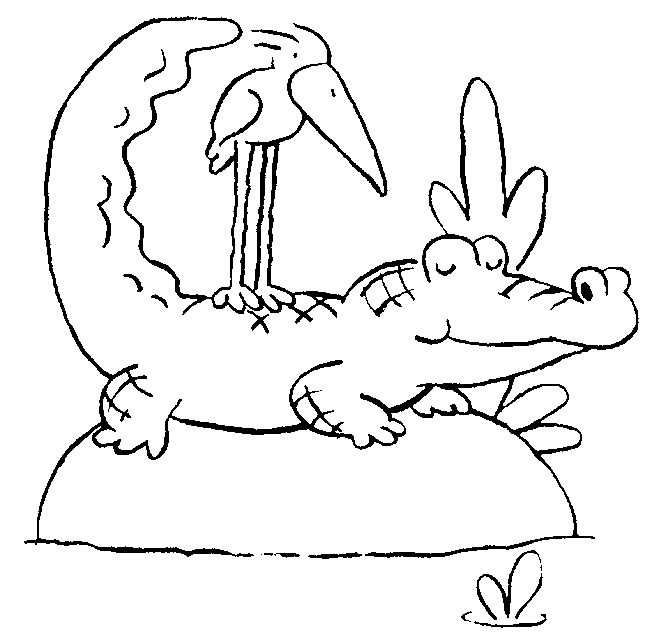 Un coccodrillo calmo disegno da colorare