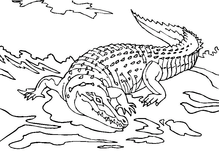 Un coccodrillo sulla terra ferma disegno da colorare