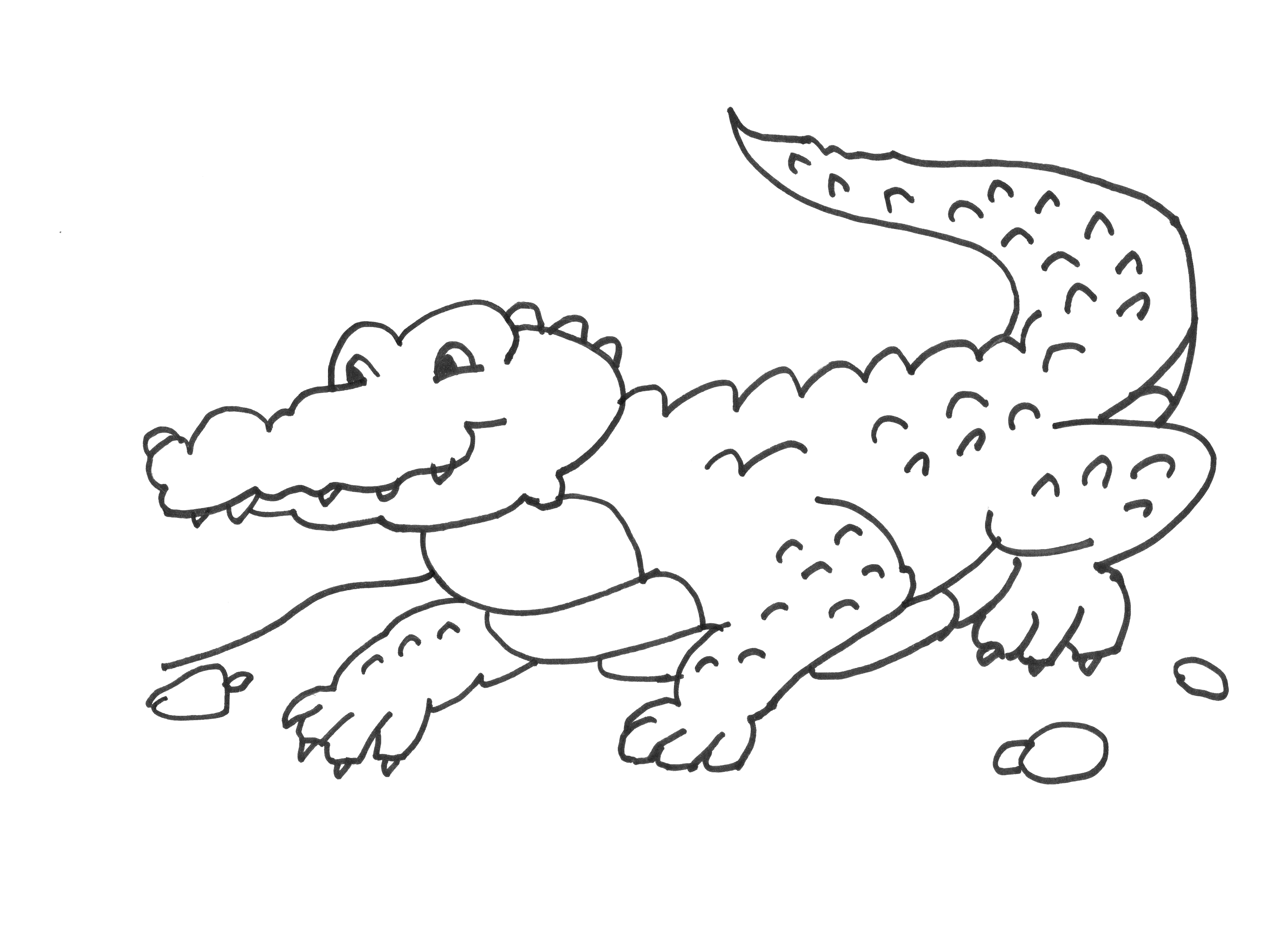 Un coccodrillo tra i massi disegno da colorare