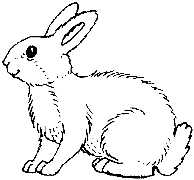 Un coniglio disegno da colorare gratis