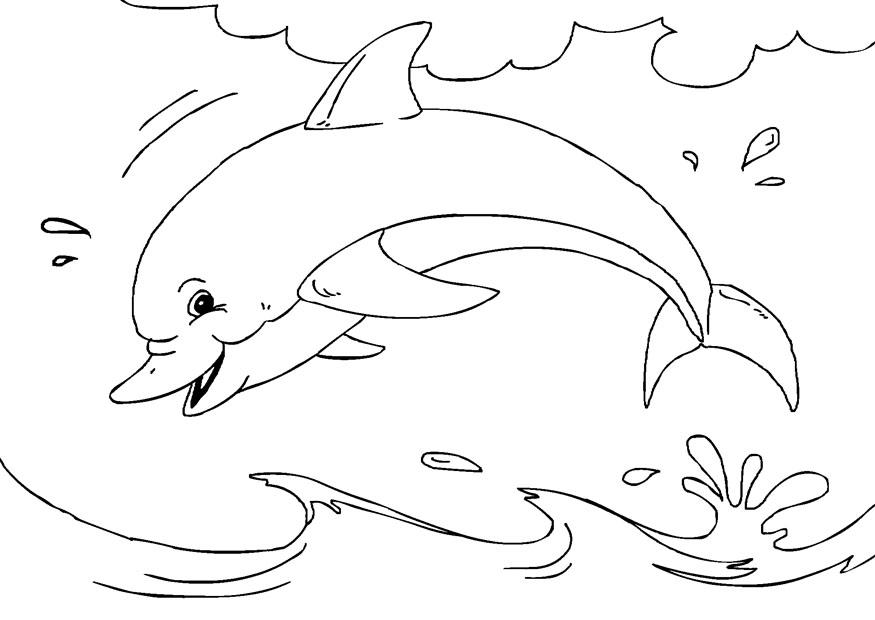 Un delfino che gioca in acqua disegno da stampare e da colorare gratis