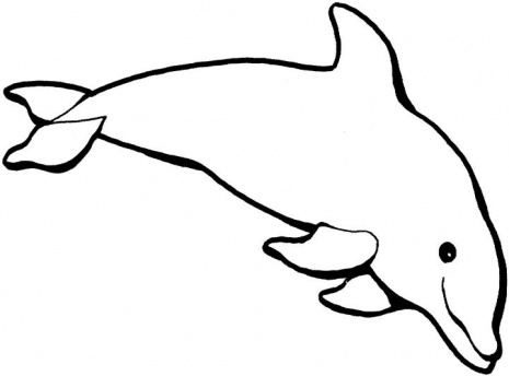 Un delfino da stampare e da colorare gratis
