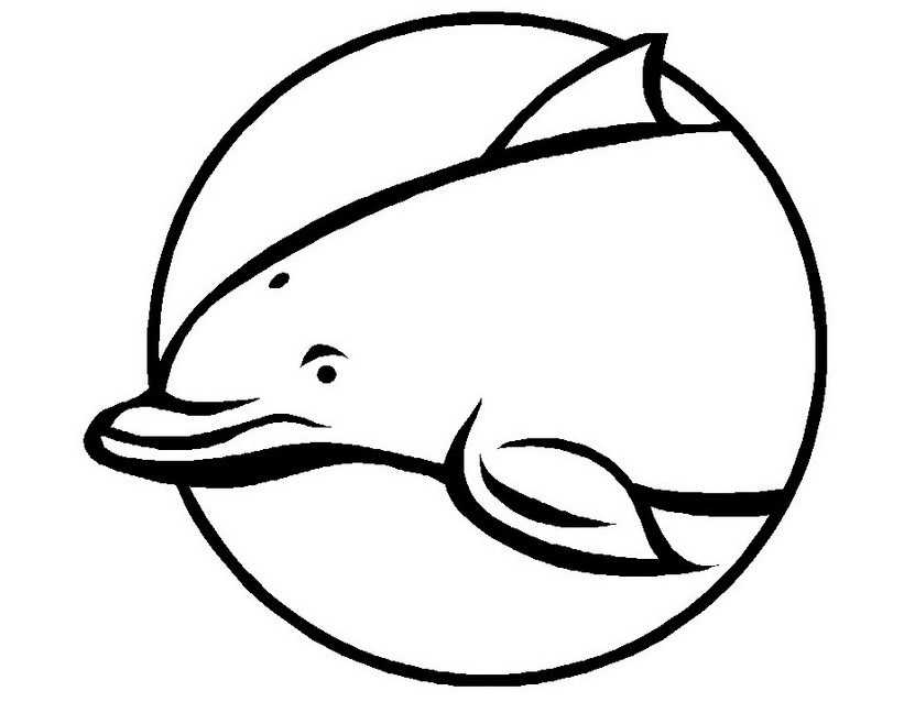 Un delfino in cornice rotonda disegno da colorare