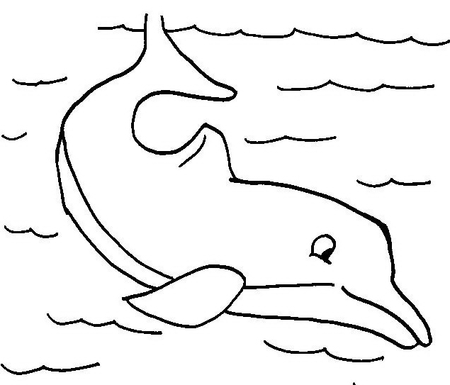 Un delfino nel mare disegno da colorare gratis