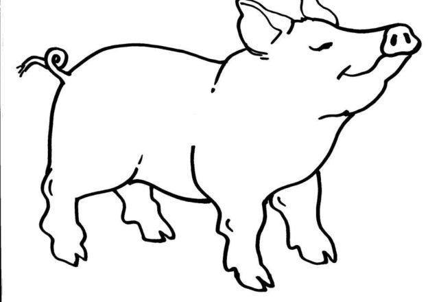 Un maiale altezzoso disegno da colorare per bambini
