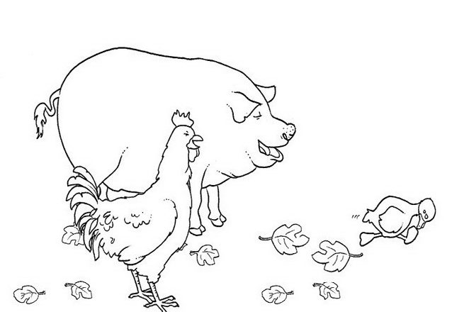 Un maiale ed una gallina disegni da colorare per bambini
