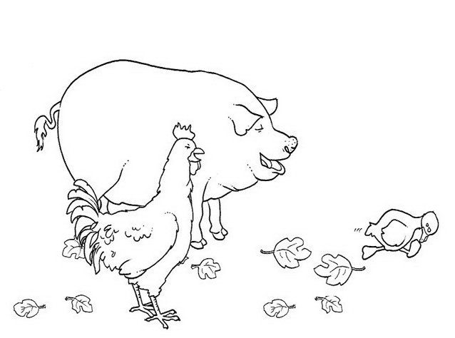 Un maiale ed una gallina disegni da colorare per bambini