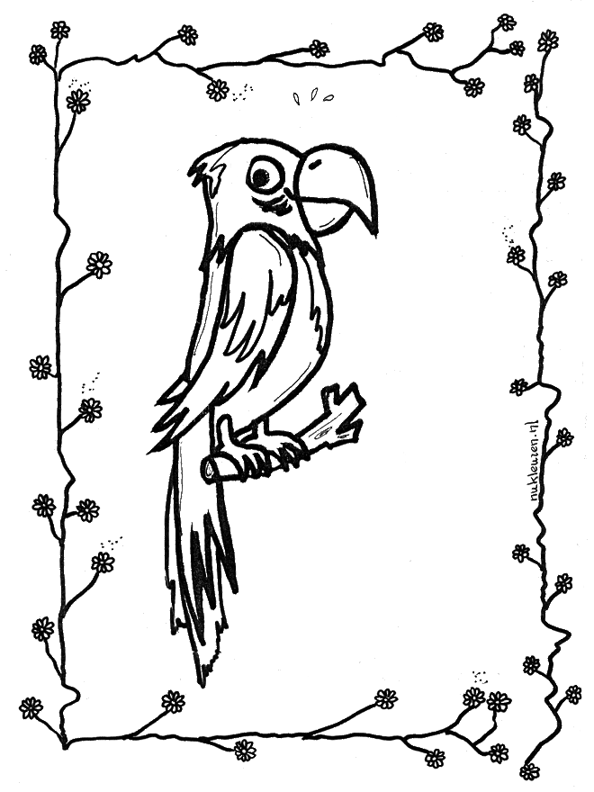 Un pappagallo in cornice floreale disegno da colorare gratis