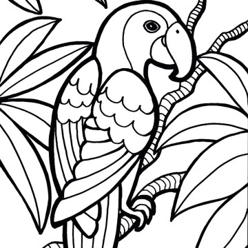 Un pappagallo tra le foglie disegni per bambini