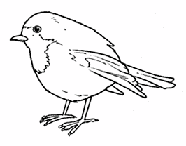 Un piccolo Pettirosso disegni da colorare di uccellini