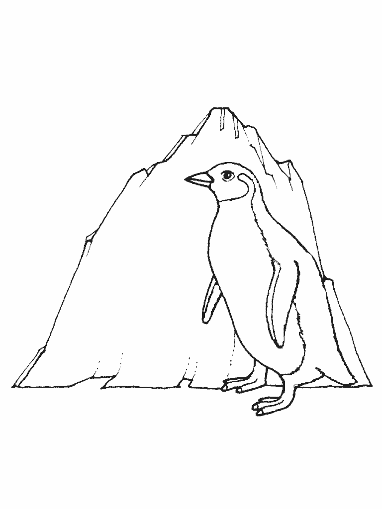 Un pinguino realistico disegno da colorare gratis per bambini