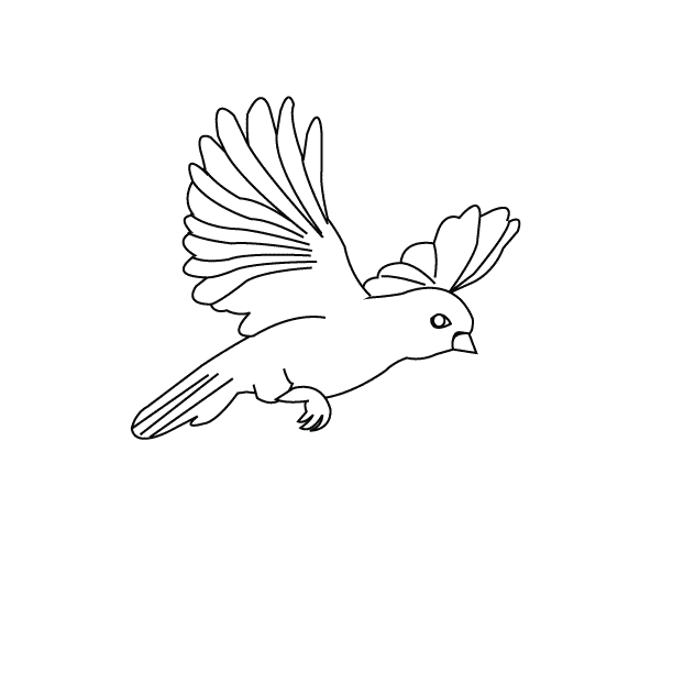 Un semplice uccello in volo da colorare