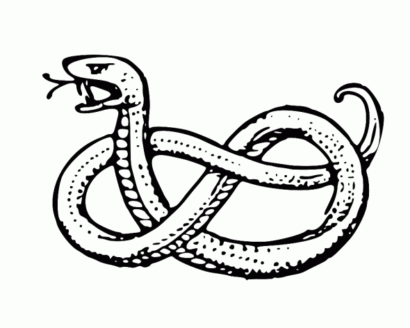 Un serpente disegni da colorare gratuiti