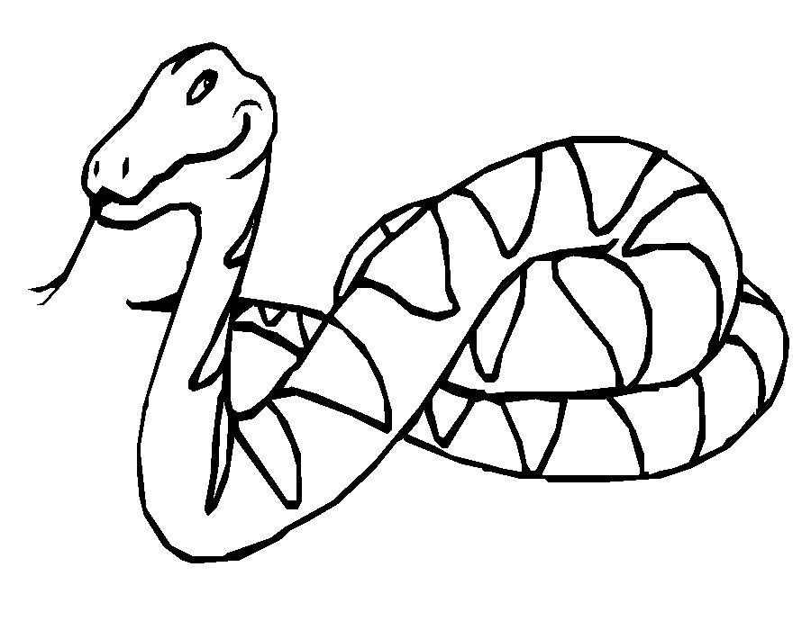 Un serpente furbo da colorare