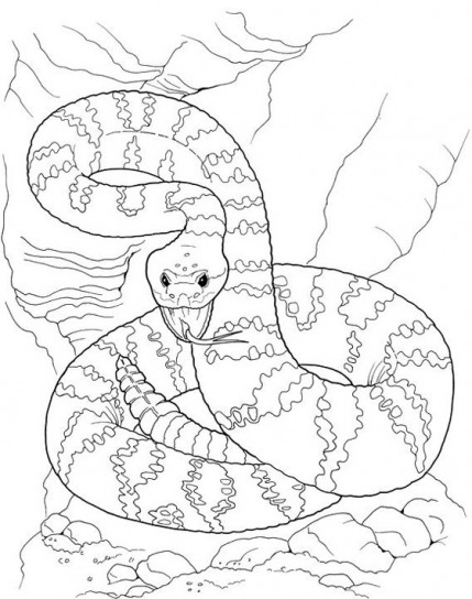 Un serpente pericoloso disegni da colorare per bambini