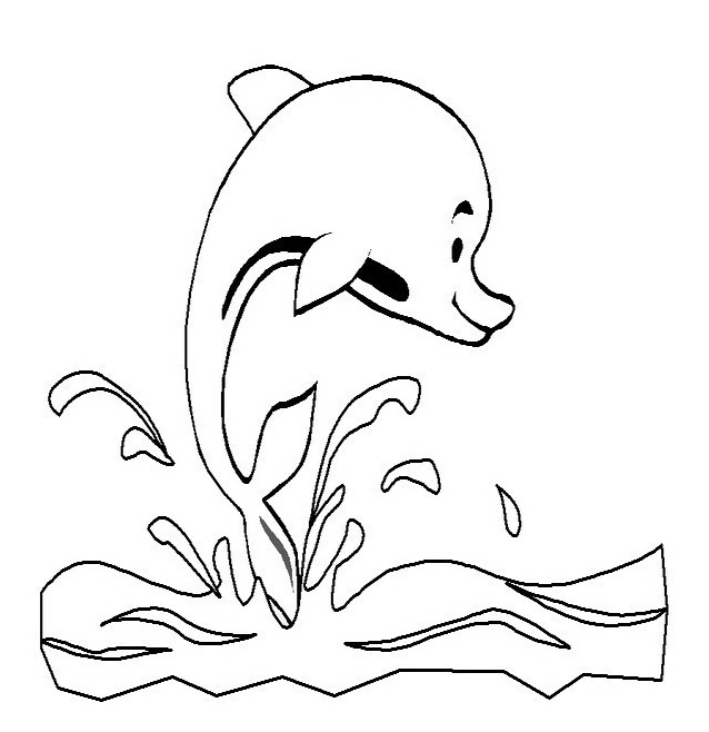 Un tenero delfino disegno da colorare per bimbi