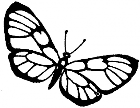 Una farfalla che vola disegni da colorare