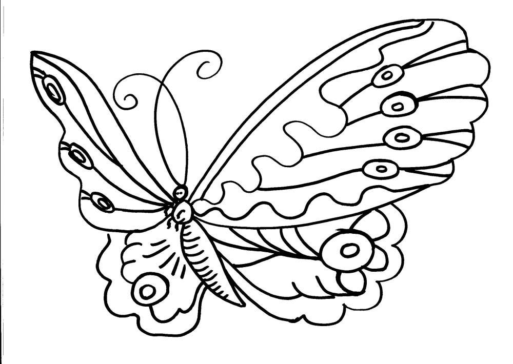 Una farfalla con grandi ali disegno da colorare per bambini